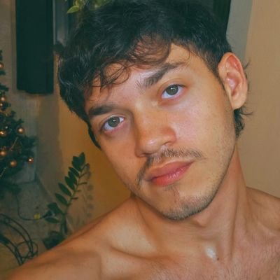 robertgvds's profile picture