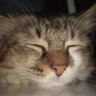 yin 🌻 profil fotoğrafı