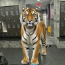 Фото профиля Wally