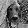 R's profile picture