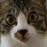 m.e-XD profil fotoğrafı