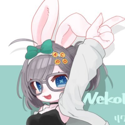 NekoDOSはVRChat技術学術おすすめうさぎ🐇's profile picture