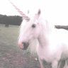 Фото профиля Marcie!! 🦄🧁🌈 // vampmike au 📌