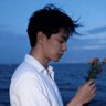 ling zhang's profile picture