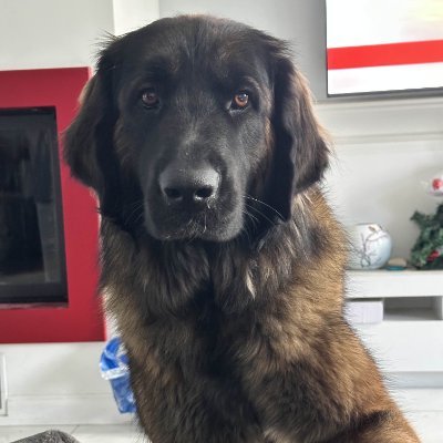 Valmaster 🇫🇷's profile picture