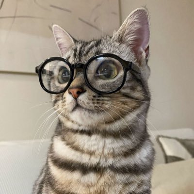 港区ちいかわ's profile picture