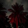 Lll's profile picture