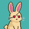 Profilbild von Rare