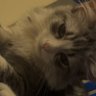 STAR's profile picture