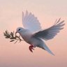 سعيدة's profile picture