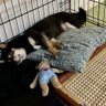 Kaori408 profil fotoğrafı