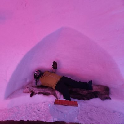 Lincoln in the Adirondacks ⛷️'s profile picture