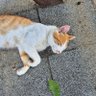 쩡하 profil fotoğrafı