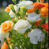 Фото профиля vasam