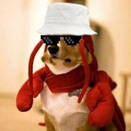iksZury's profile picture