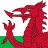 GCD 🏴 🇵🇸's profile picture