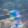 ABlankStare's profile picture