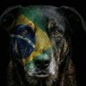 Chartreuse's profile picture