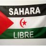 Profilbild von Nawal Boub