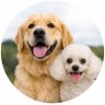 Perris&Café's profile picture