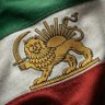 بلدرچین 🏴🏳️'s profile picture
