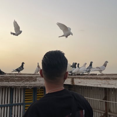 aljobouri99's profile picture