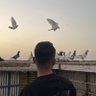 Mohamad-محمّد 的头像
