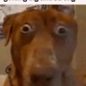 Profilbild von Proffcake