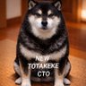Profilbild von Totakeke_cto