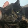 Panciak's profile picture