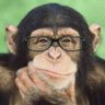 Ava's profile picture