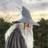 the white Gandalf's profile picture