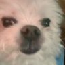 Doeon Kwon's profile picture