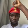 Фото профиля comrade daniel nosakhare