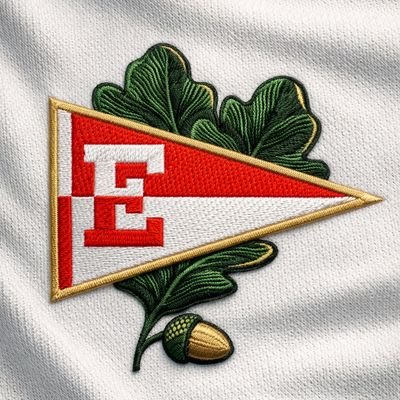 El Banderín's profile picture