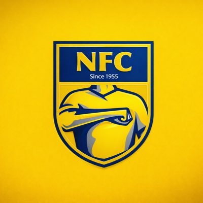 ☀️AlNassr Fans's profile picture