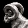 Фото профиля The Silver Ram