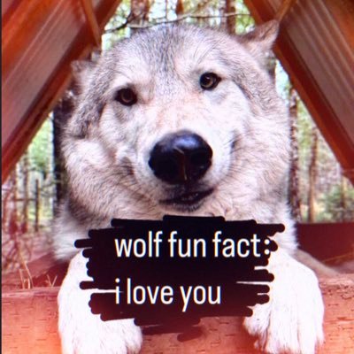 Gray's profile picture