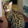 danijeladaca profil fotoğrafı