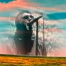 Фото профиля Colin