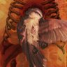 Фото профиля Cleiton - BIRDWATCHING dev