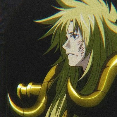 havocvlr's profile picture