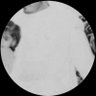 رونيتا.'s profile picture