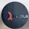 Teqsus Studios 的头像