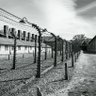 Справедливість та Істина 的头像