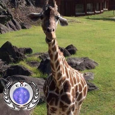 malu20xx's profile picture