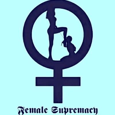 Calamitacosmica's profile picture