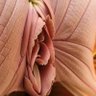 Фото профиля s7s7