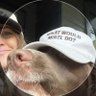 Donner's profile picture