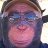 Ed Nigma profil fotoğrafı